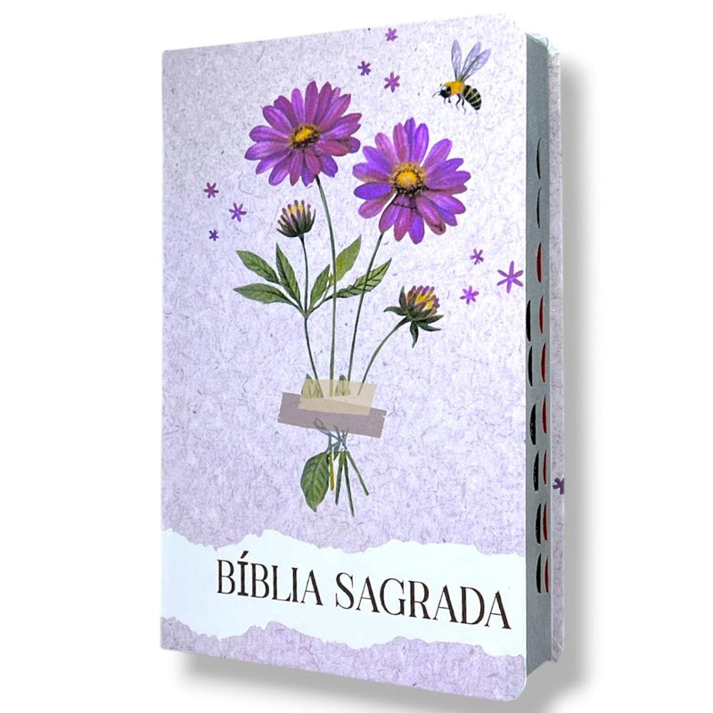 Bíblia Sagrada Capa Semiflexível Letra Gigante Promessas ARC e Índice Números 6:25 Feminina Rosa