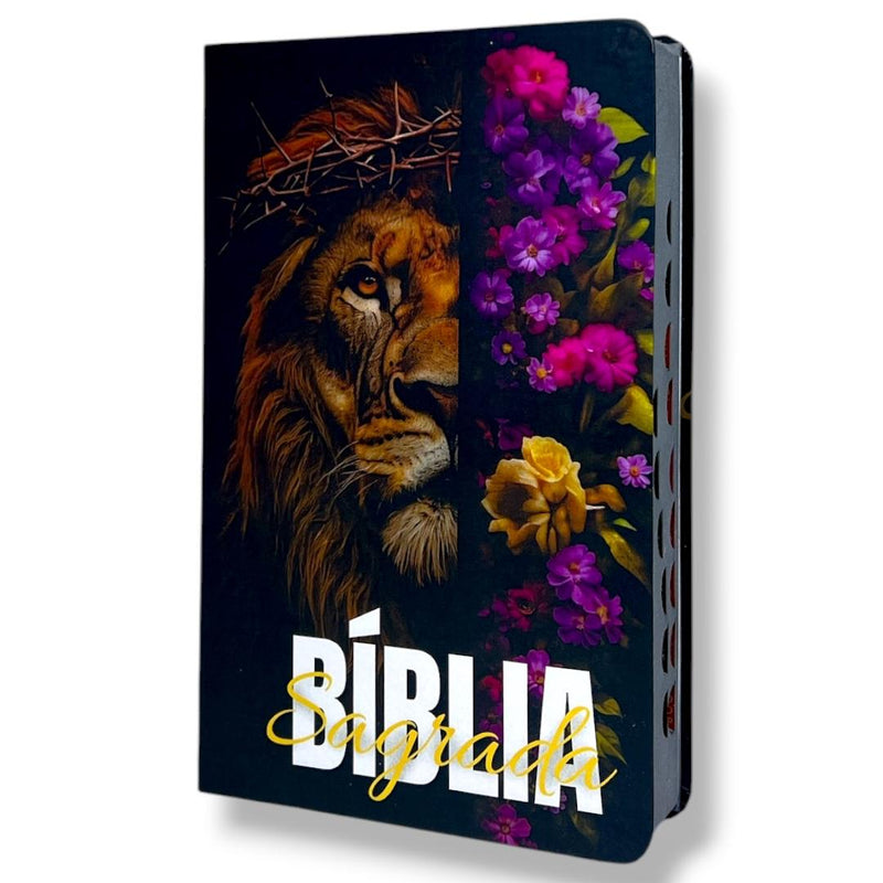 Bíblia Sagrada Capa Semiflexível Letra Gigante Promessas ARC e Índice Salmos 91 Fem e Masc