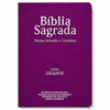 Bíblia Feminina Pink Letra Gigante Capa Semi Flexível Com Harpa e Índice Colorida Arc
