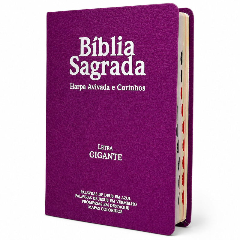 Bíblia Feminina Pink Letra Gigante Capa Semi Flexível Com Harpa e Índice Colorida Arc