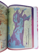 Bíblia Leão Seja Forte e Corajosa Cor Branca Letra Gigante Capa Dura Com Harpa E Abas Feminina Arc