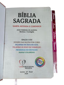 Bíblia Flor Rosa Letra Hipergigante Capa Dura Com Harpa e Aba Já Colada Arc