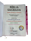 Bíblia Capa Dura Com Elástico Rosa E Medalhão Letra Gigante Com Harpa - Leão Rosa Abas Já Coladas