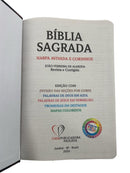 Bíblia Evangélica Com Harpa e Elástico Dourado Capa Dura Letra Hipergigante Leão Levantado Color