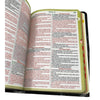 Bíblia Sagrada Evangélica Irmã do Coque Pentecostal  Capa Semi Flexível Letra Gigante Feminina Harpa e Índice Linguagem ARC