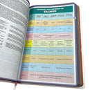 Kit 2 Bíblias Cristãs de Estudo King James Atualizada - Primavera & Imperial- Capa Dura Letra Gigante