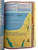 Bíblia Deus Floral Letra Gigante Capa Flexível Com Harpa e Índice Feminina Arc
