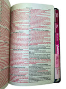 Bíblia Leão Deus Pai Letra Gigante Capa Dura Com Harpa E Abas Adesivas Feminina Arc