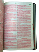 Bíblia Leão Cristo Vive Letra Gigante Capa Flexível Com Harpa e Índice Masculina Arc