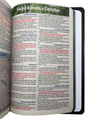 Bíblia Leão Jesus Letra Gigante Capa Dura Com Harpa E Abas Femininas Arc