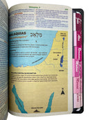 Bíblia Leão Jesus Letra Gigante Capa Dura Com Harpa E Abas Femininas Arc