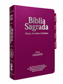 Bíblia Cor Pink PPM Letra Gigante com Abas Feminina Capa Semi Flexível Com Harpa  Arc