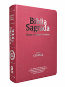 Bíblia Cor Rosa PPM Com Abas Feminina Letra Gigante Capa Semi Flexível Com Harpa  Arc