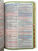 Bíblia Sagrada Capa Semiflexível Letra Gigante Promessas ARC e Índice Leão Yeshua P&B Fem e Masc