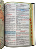 Bíblia Leão Cristo Vive Letra Gigante Capa Flexível Com Harpa e Índice Masculina Arc