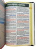 Bíblia Leão Cristo Vive Letra Gigante Capa Flexível Com Harpa e Índice Masculina Arc