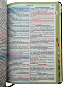 Bíblia Sagrada Capa Semiflexível Letra Gigante Promessas ARC e Índice Salmos 91 Fem e Masc