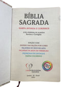 Bíblia Circulo Floral Rosa Letra Gigante Com Índice Capa Flexível Com Harpa Feminina Arc