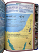 Bíblia Masculina Leão Seja Forte e Corajoso Azul Capa Dura Com Abas Adesivas - Arc