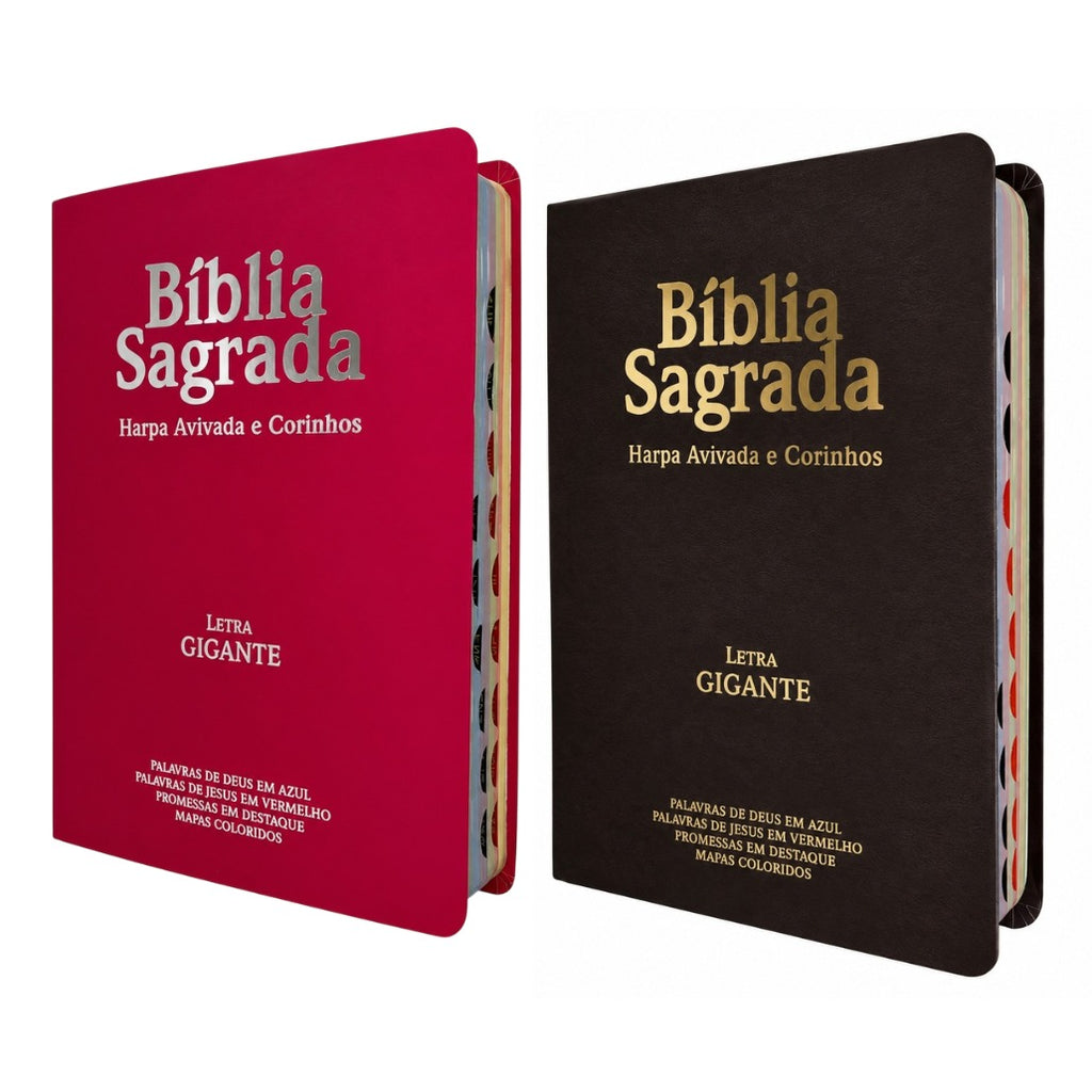 Kit 2 Bíblias Sagrada Com Índice e Capa Semi Flexivel Letra Gigante - Cor Marrom e Pink