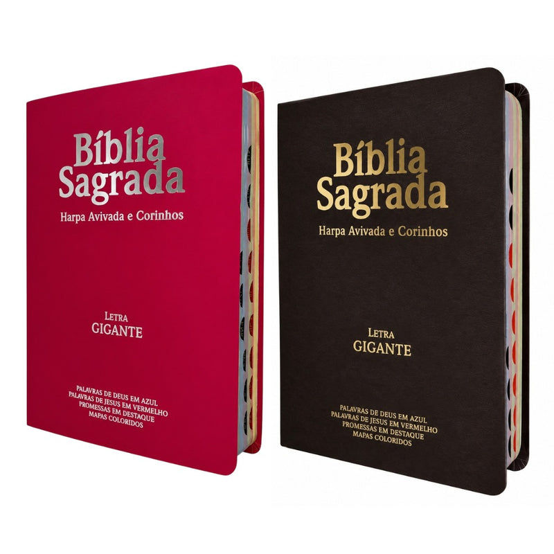 Kit 2 Bíblias Sagrada Com Índice e Capa Semi Flexivel Letra Gigante - Cor Marrom e Pink