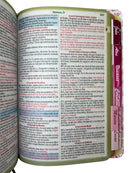 Bíblia Feminina Letra Gigante Capa Semiflexivel Com Abas Coladas Feminina - Deus é bom