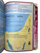 Bíblia Feminina Letra Gigante Capa Semiflexivel Com Abas Coladas Feminina - Deus é bom