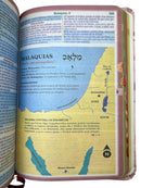 Bíblia Deus Gratidão Letra Gigante Capa Flexível Com Harpa e Índice Feminina Arc