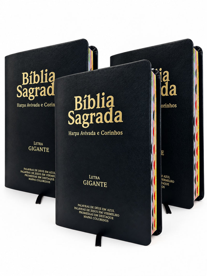 Kit 3 Bíblias Masculinas PPM Preta Sagrada Letra Gigante Semi Flexível  Harpa ARC
