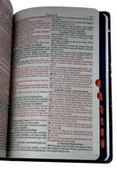 Bíblia Leão Deus Pai Letra Gigante Capa Dura Com Harpa E Índice Feminina Arc