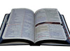 Kit 2 Bíblias Sagradas Leão Yeshua Edição Promessas Letra Grande Para Bolsa NVA Com Índice