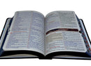 Kit 2 Bíblias Sagradas Leão Yeshua Edição Promessas Letra Grande Para Bolsa NVA Com Índice