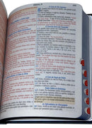 Kit 2 Bíblias Sagradas Leão Yeshua Edição Promessas Letra Grande Para Bolsa NVA Com Índice