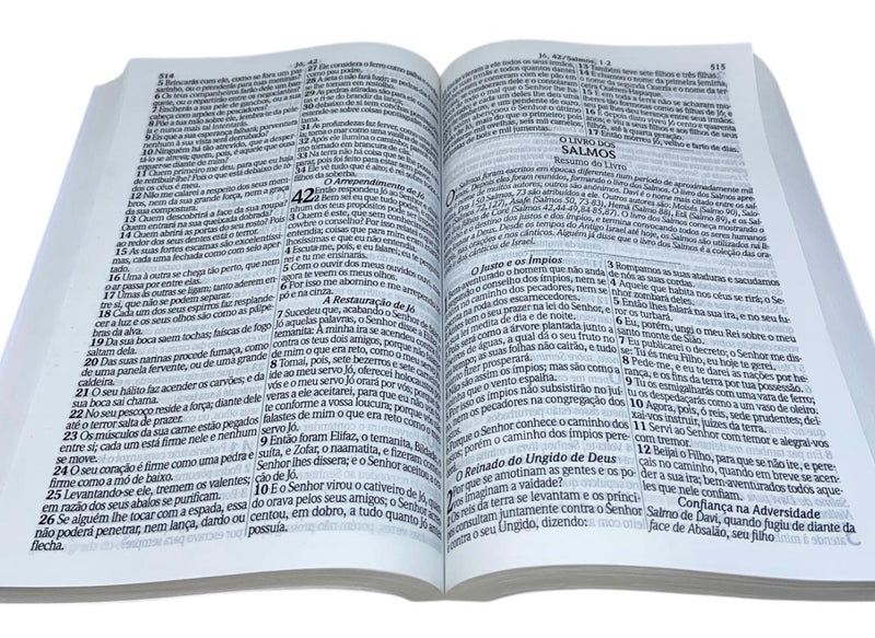 Miolo Para Bíblia Slim Letra Gigante Com Harpa e Contra Capa - ARC