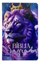 Kit 2 Bíblias Feminina Sagrada Letra Gigante Semi Flexível e Hipergigante Capa Dura Harpa ARC Jardim Secreto e Leão Eterno