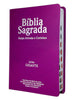Bíblia Cor Pink Letra Gigante Capa Semi Flexível Com Harpa e Índice Colorida Arc