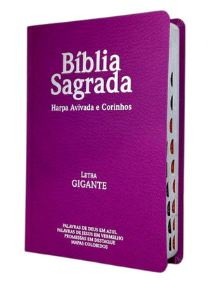 Bíblia Cor Pink Letra Gigante Capa Semi Flexível Com Harpa e Índice Colorida Arc