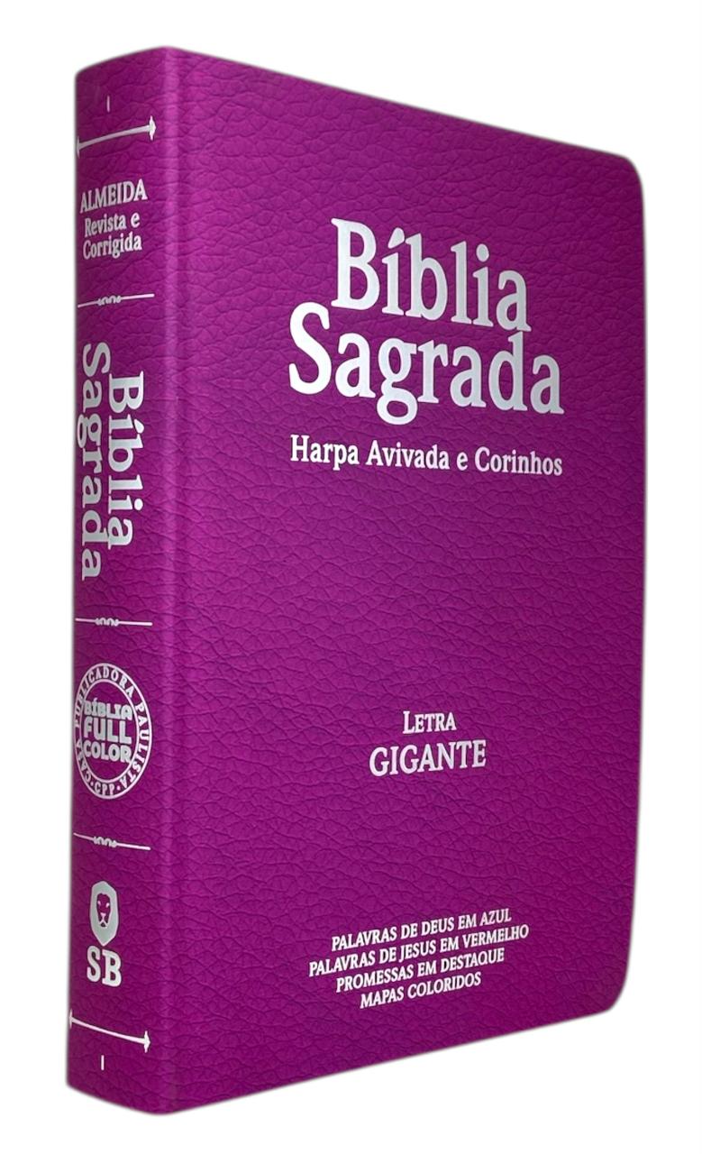 Bíblia Cor Pink Letra Gigante Capa Semi Flexível Com Harpa e Índice Colorida Arc
