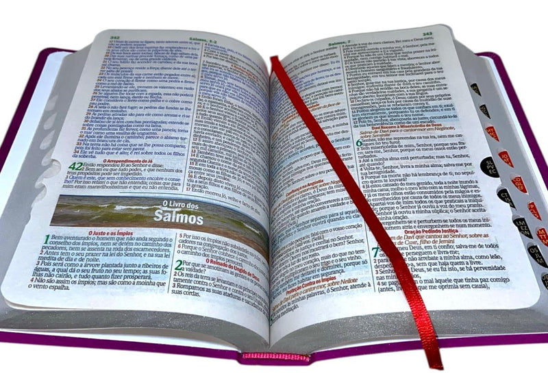 Bíblia Cor Pink Letra Gigante Capa Semi Flexível Com Harpa e Índice Colorida Arc