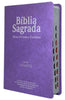 Kit 5 Bíblias Sagradas Luxo Gigante Com Índice E Harpa Avivada e Corinhos - Full Color