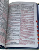 Bíblia Capa Dura Com Elástico Dourado e Medalhão Letra Gigante - Leão Deus Pai + Índice