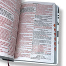 Bíblia Sagrada Capa Semiflexível Letra Gigante Promessas ARC e Índice Deus no Controle Fem e Masc