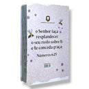 Bíblia Sagrada Capa Semiflexível Letra Gigante Promessas ARC e Índice Números 6:25 Feminina Rosa