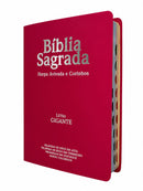 Kit 2 Bíblias Feminina Sagrada Letra Gigante Índice Semi Flexível  Harpa ARC Pink e Lilás