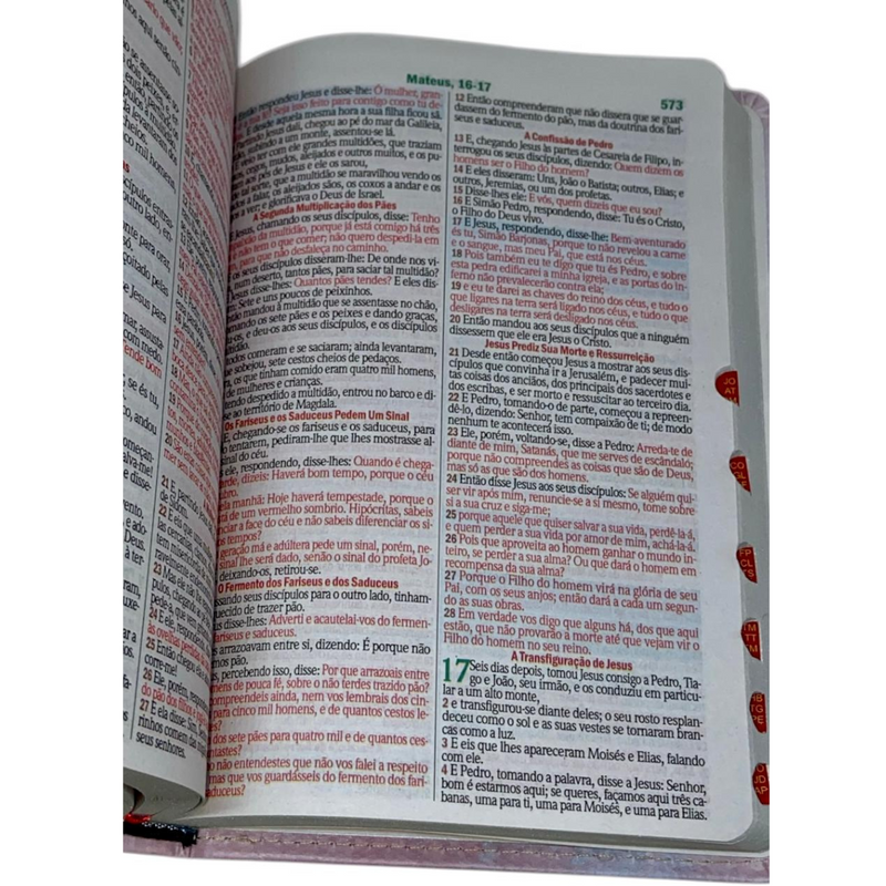 Bíblia Deus Floral Letra Gigante Capa Flexível Com Harpa e Índice Feminina Arc