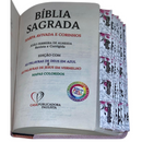 Bíblia Abençoada Por Deus Letra Gigante Capa Flexível Com Harpa E Abas Feminina Arc