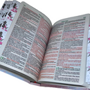 Bíblia Circulo Floral Rosa Letra Gigante Capa Flexível Com Harpa E Abas Coladas Feminina Arc