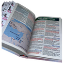 Bíblia Circulo Floral Rosa Letra Gigante Capa Flexível Com Harpa E Abas Coladas Feminina Arc