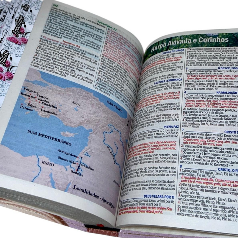 Bíblia Abençoada Por Deus Letra Gigante Capa Flexível Com Harpa E Abas Coladas Feminina Arc