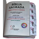 Bíblia Circulo Floral Rosa Letra Gigante Capa Flexível Com Harpa E Abas Coladas Feminina Arc